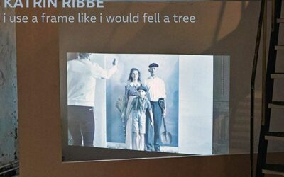 Katrin Ribbe: i use a frame like i would fell a tree